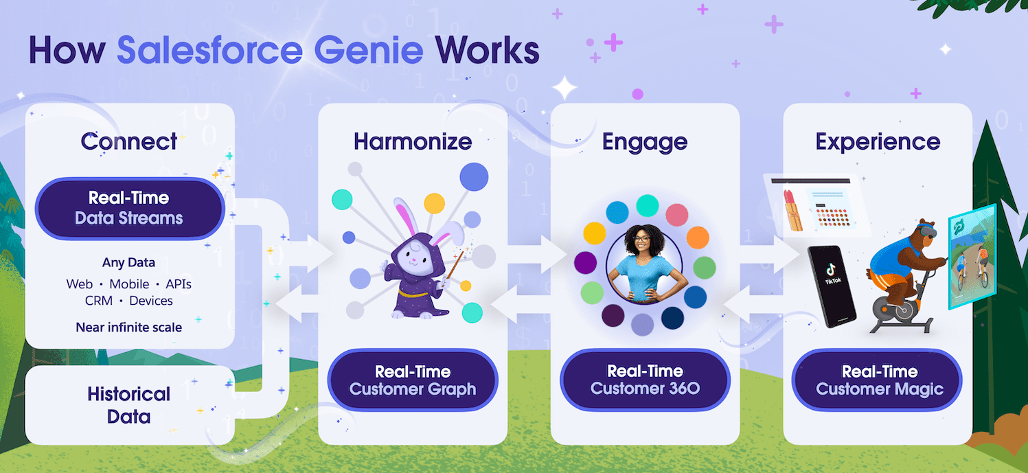 Salesforce Genie Description