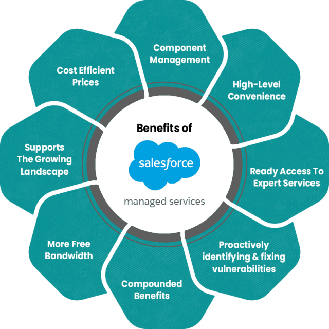 V2 Salesforce Managed Services